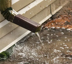 Clogged-gutters-where-rainwater-collects